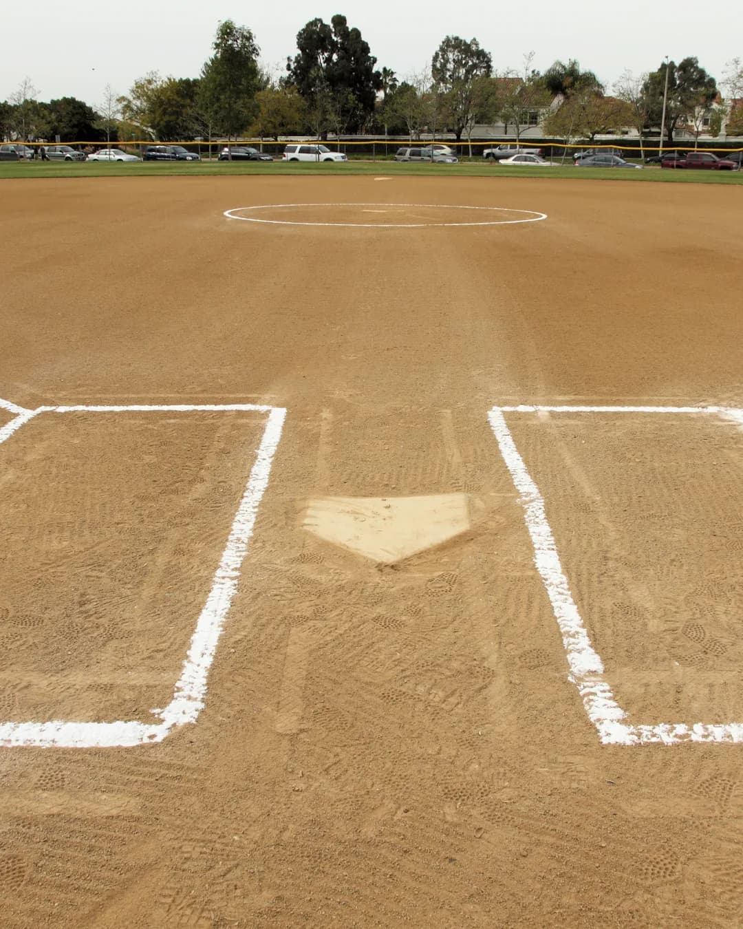 Softball players in action